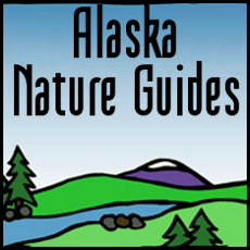 Alaska Nature Guides