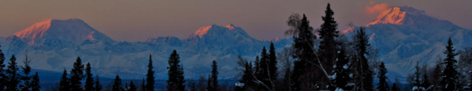 View to Denali